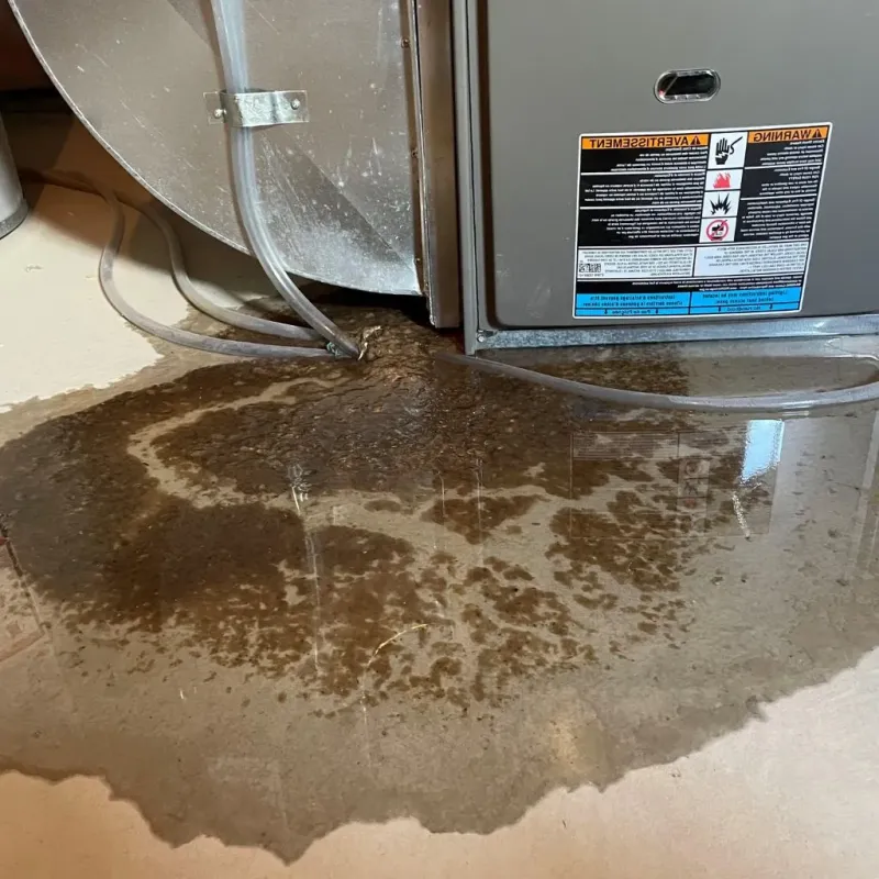 Pipe Burst and Leak Restoration in Union County, NC