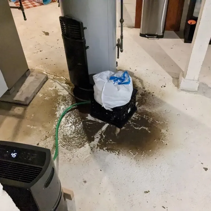 Sewage Backup Cleanup Service in Union County, NC